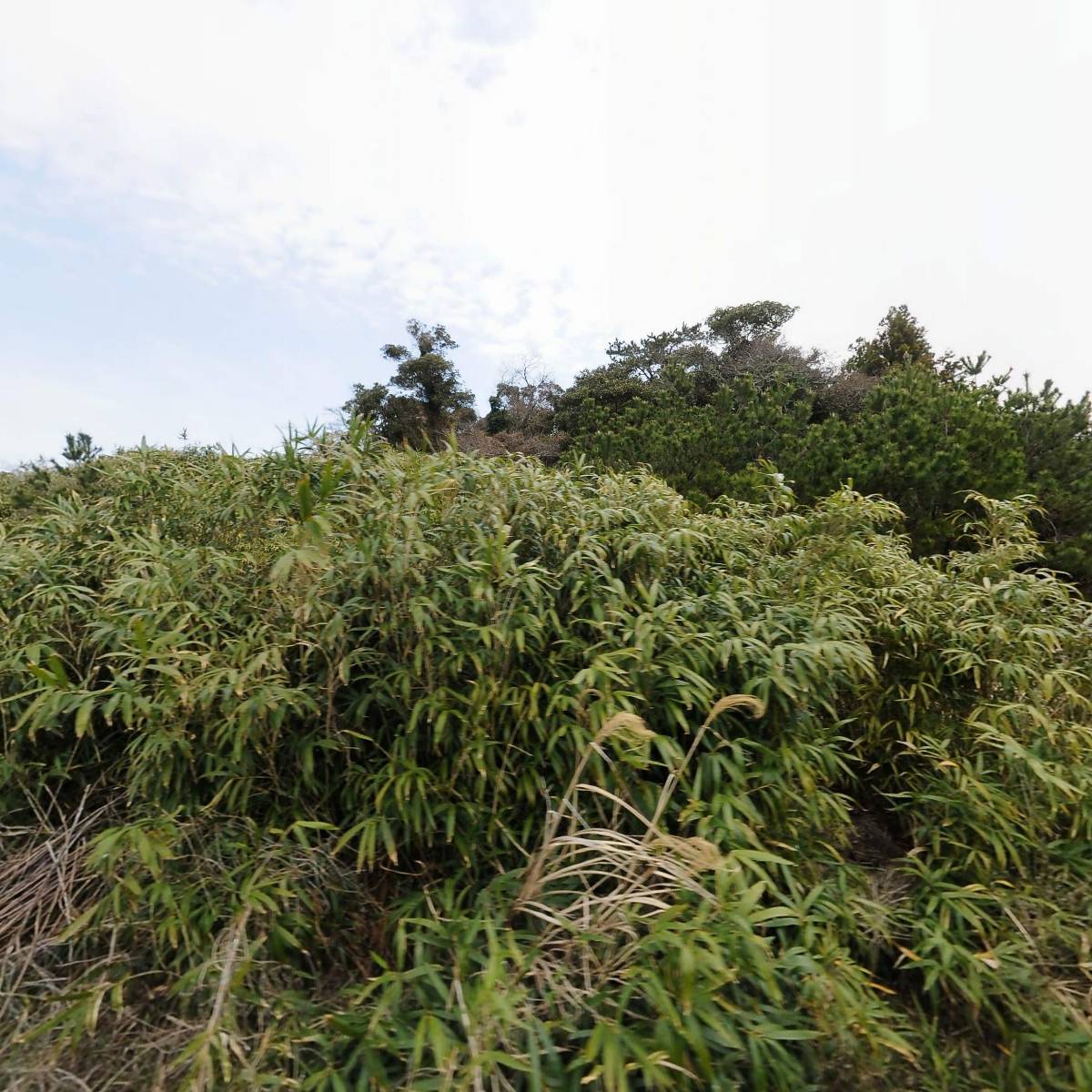 농업회사법인 주식회사 유기농나의왼손_3