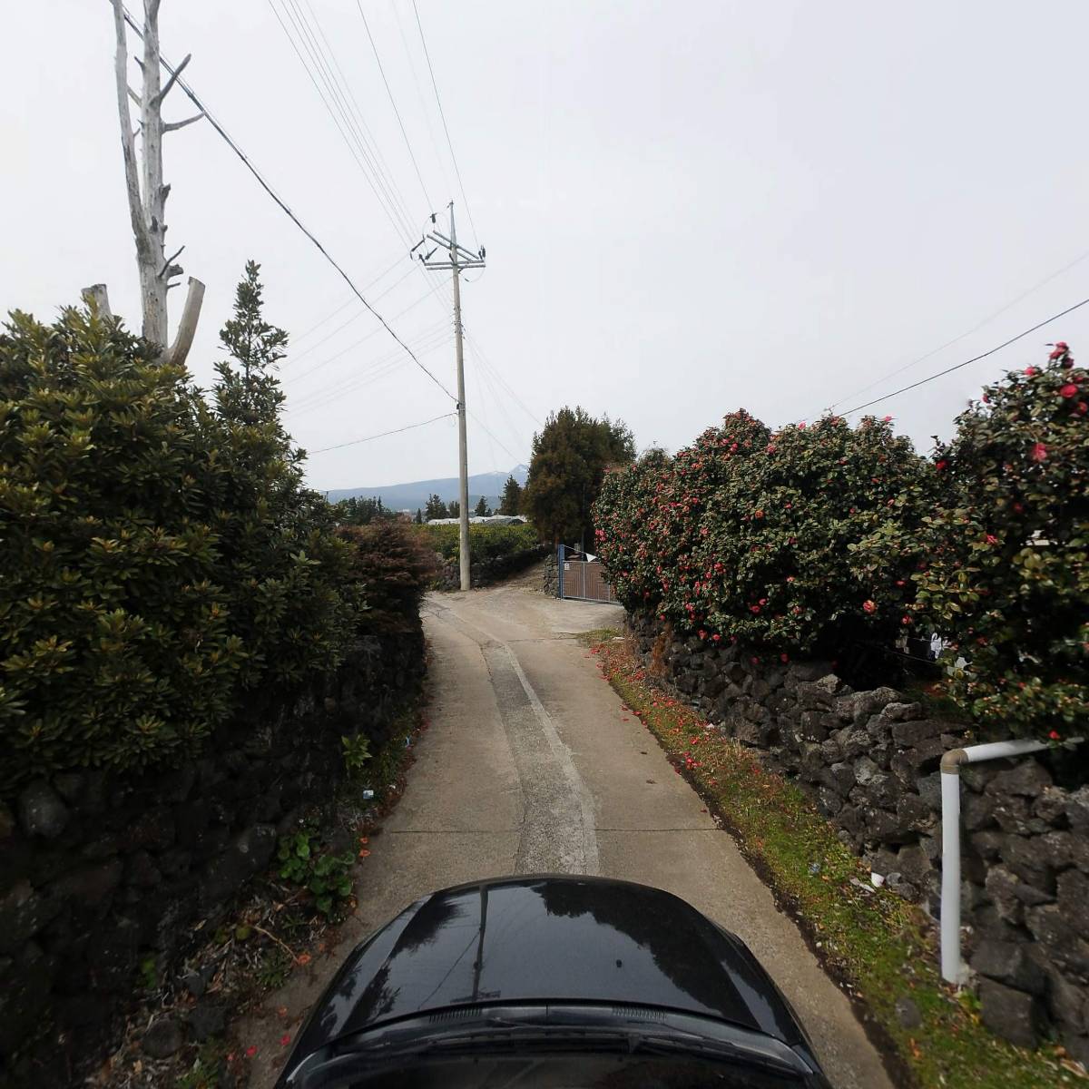 농업회사법인 주식회사 마니팜_4