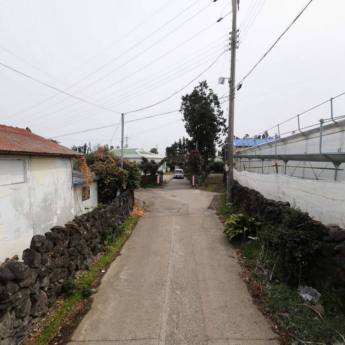 농업회사법인 주식회사 마니팜_2