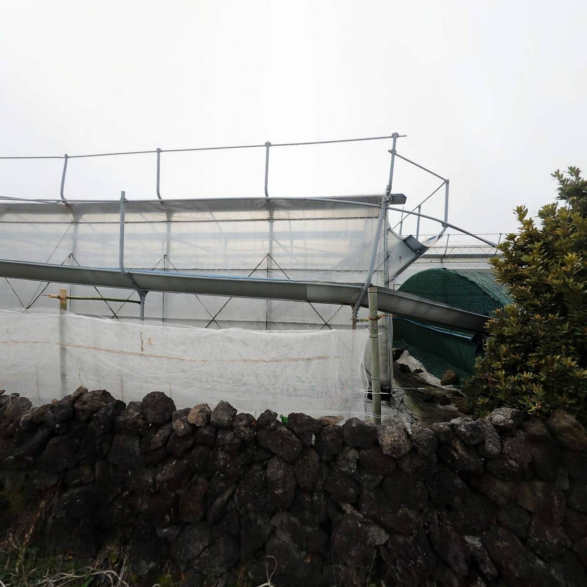 농업회사법인 주식회사 마니팜_3