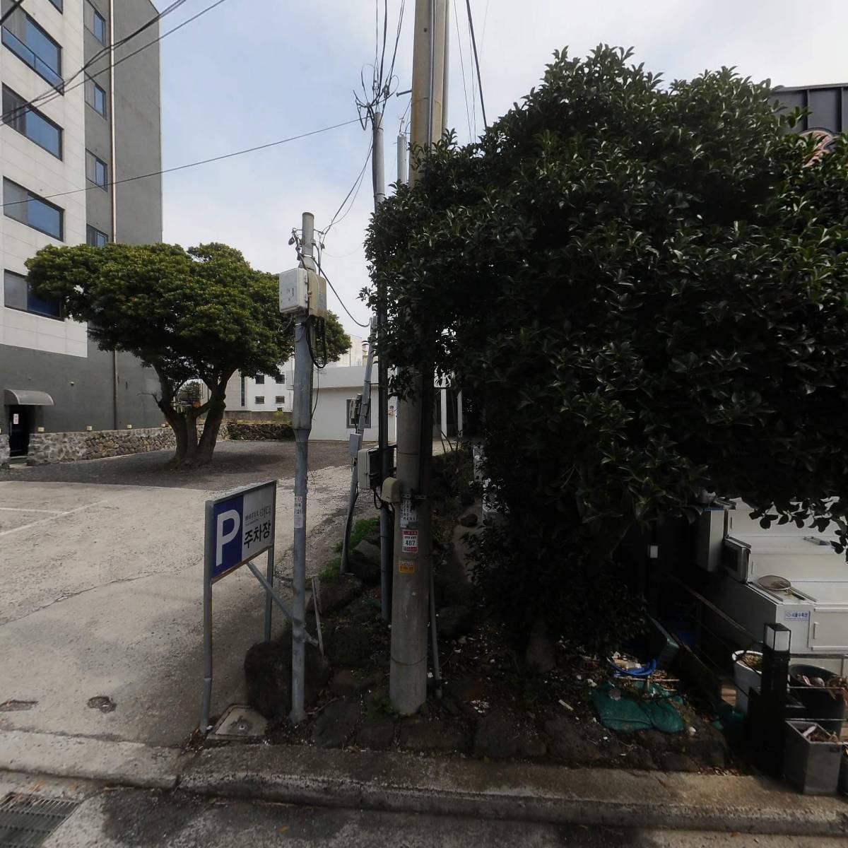 제주대패돈삼겹