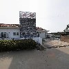 대포해송