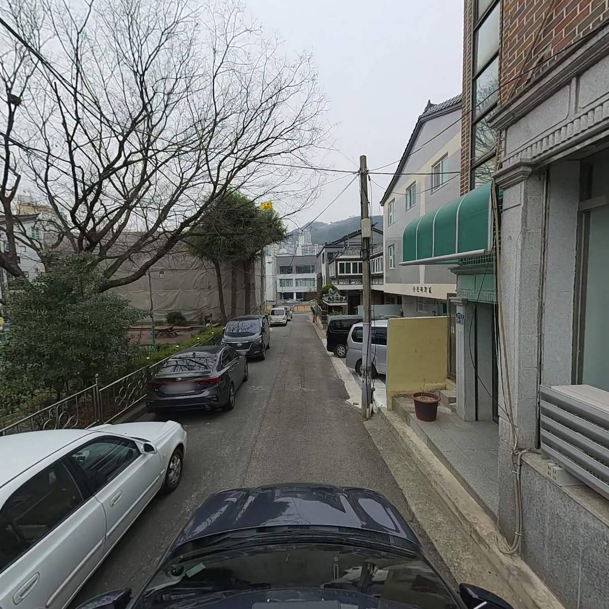 아마존피싱 동김해_4