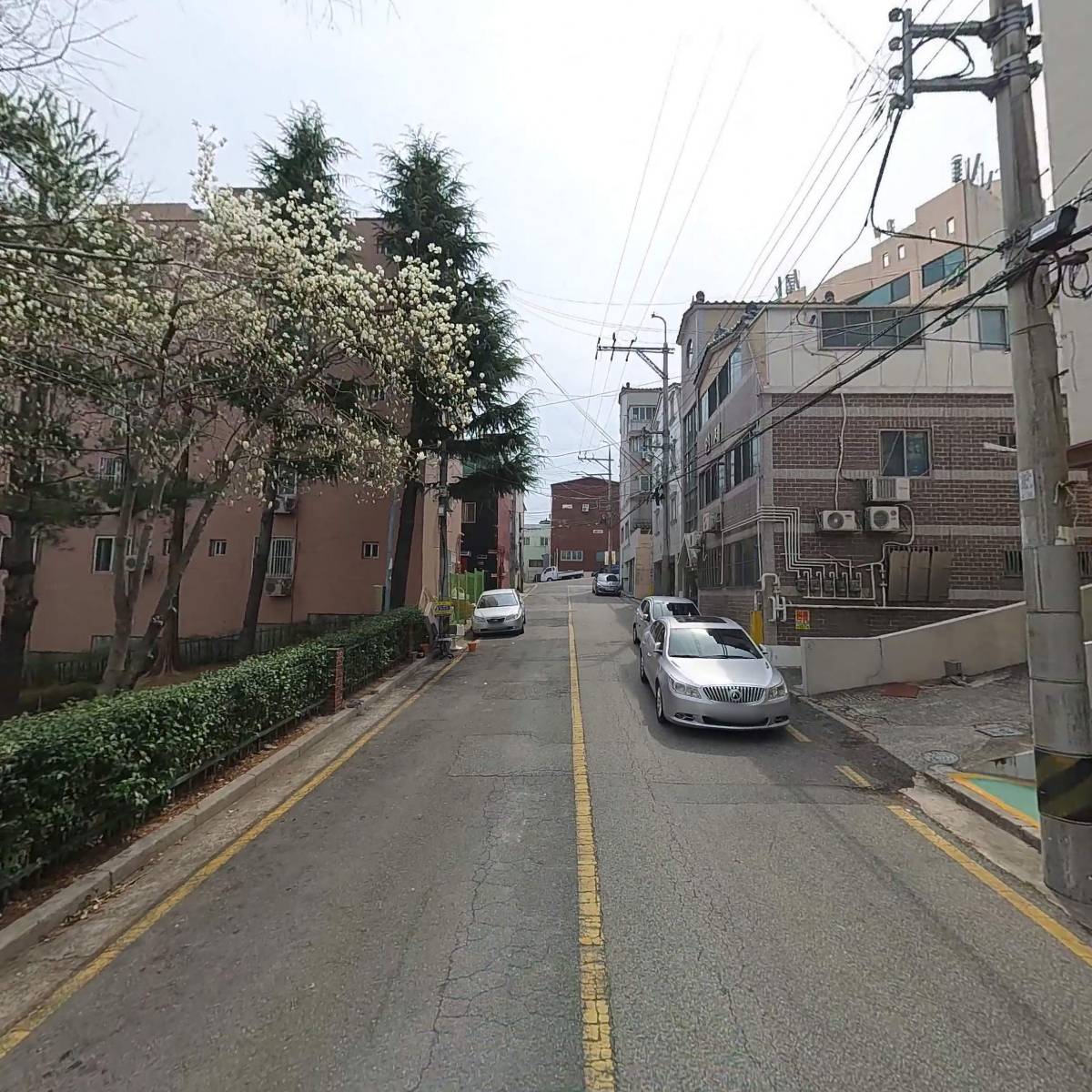 디비케이(DBK)_2