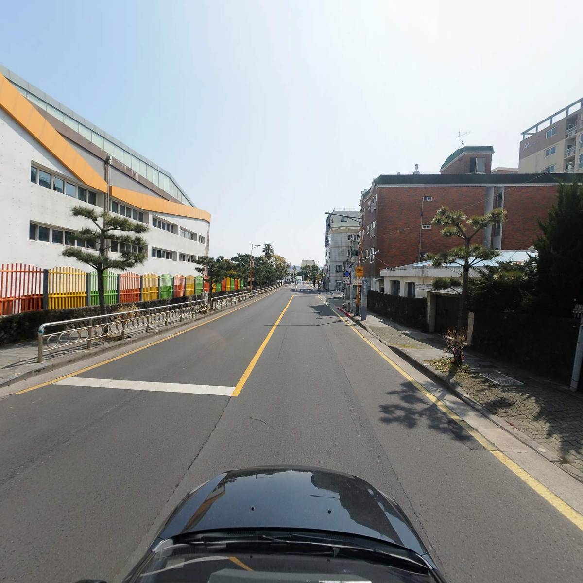 제주 디어_4