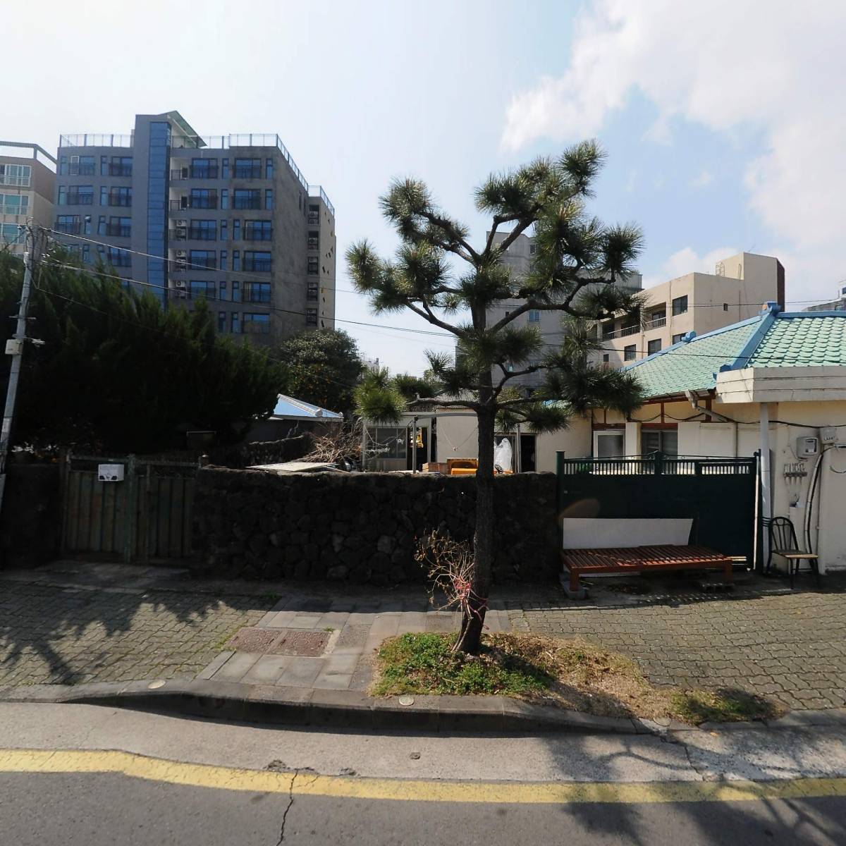 제주 디어