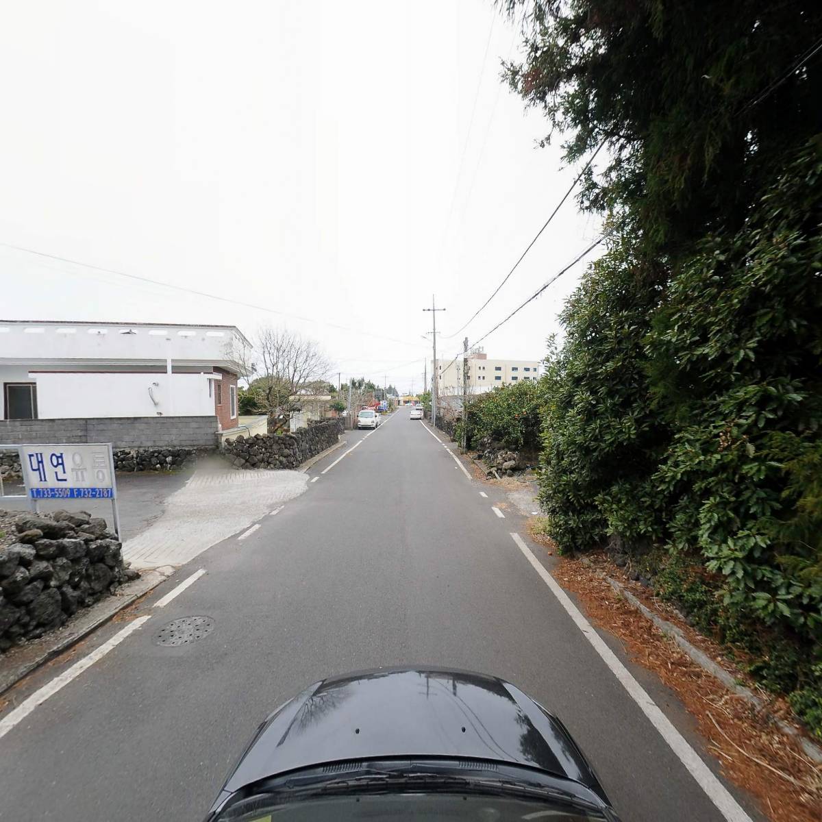 칠성감귤생산유통협동조합_4