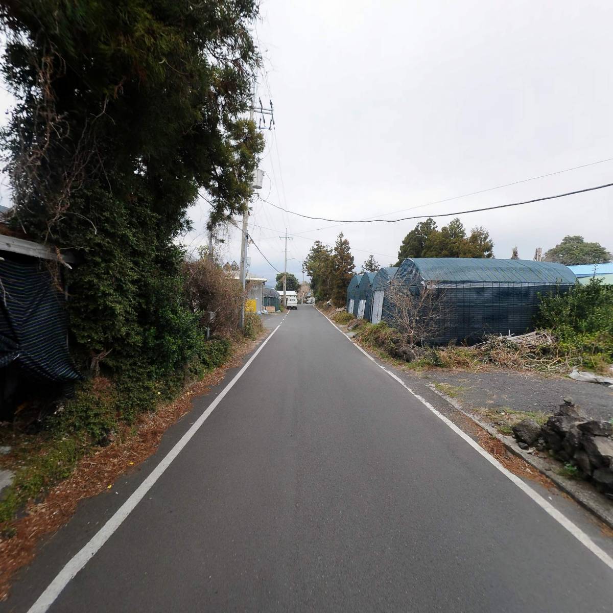 칠성감귤생산유통협동조합_2