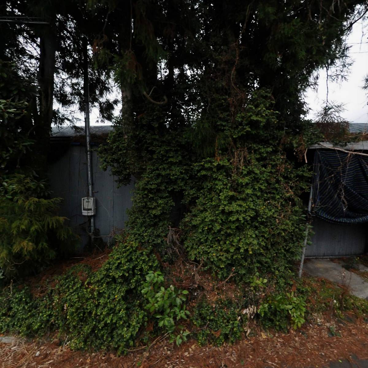 칠성감귤생산유통협동조합