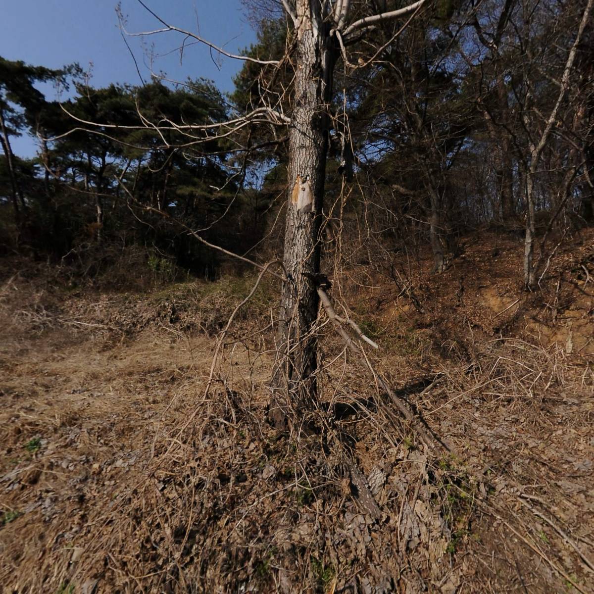 북이조사료생산영농조합법인_3