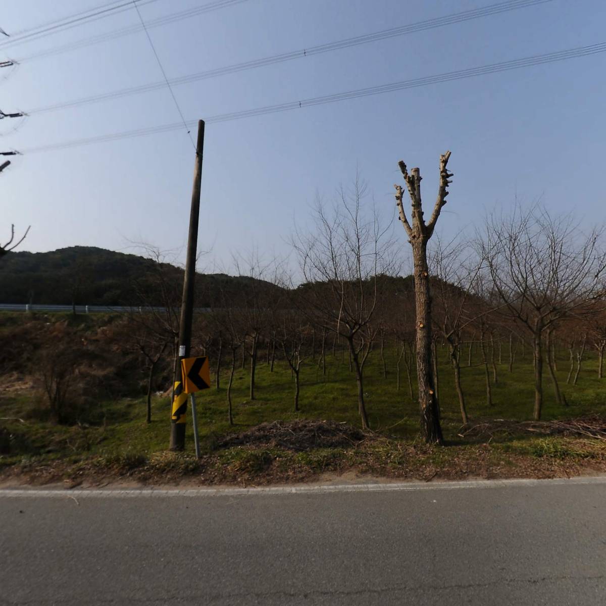 팔도개발_3