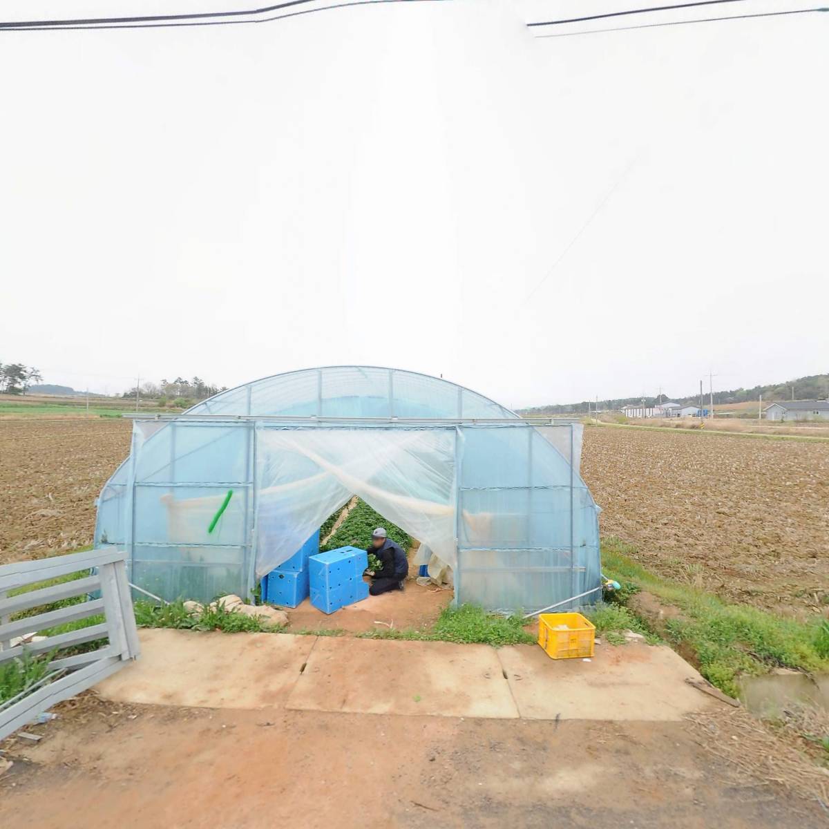 (주)영광모시총각농업회사법인