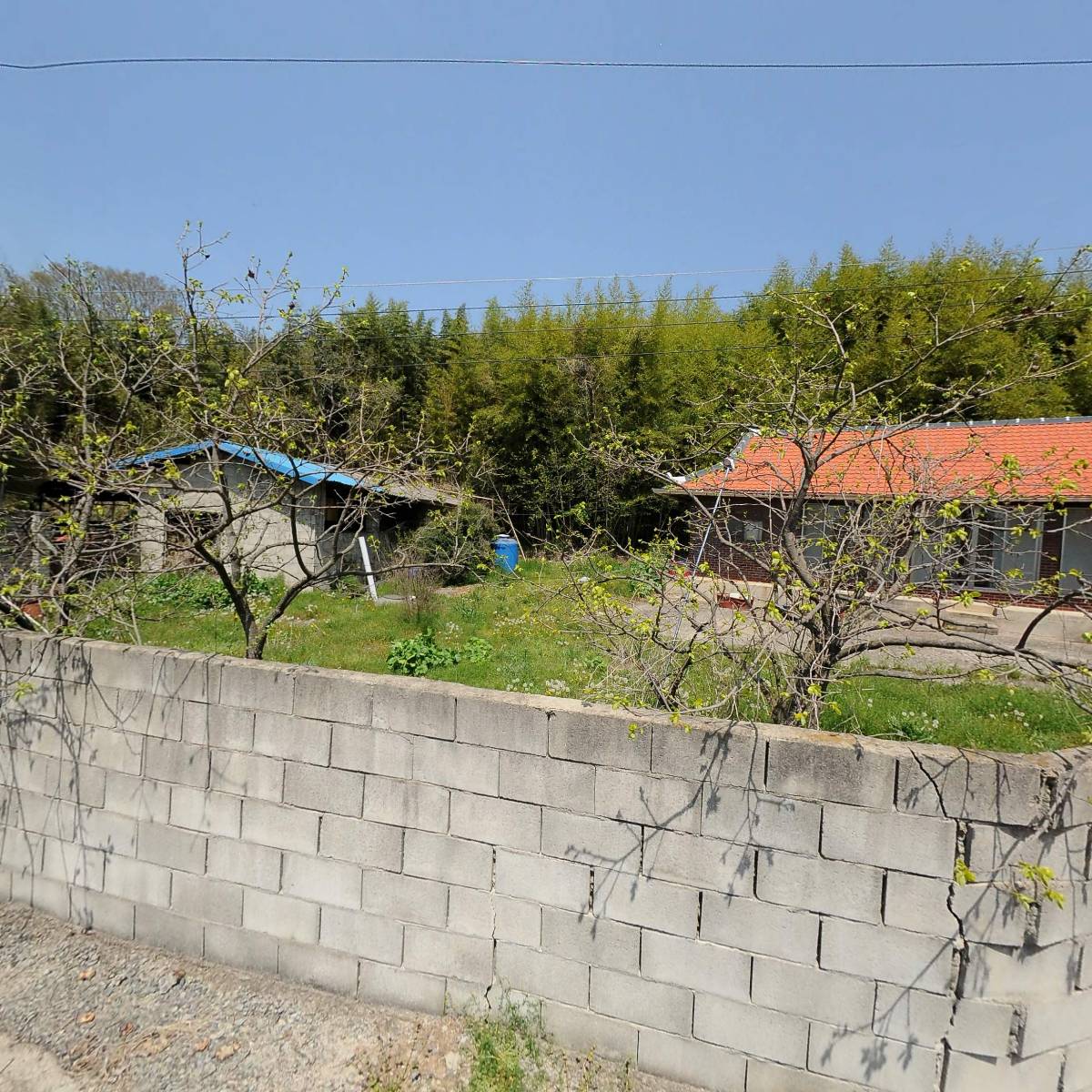 탐진최씨명규문중