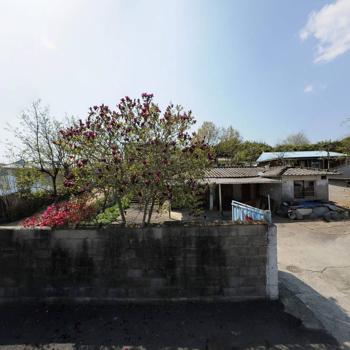 대한예수교장로회 죽산교회