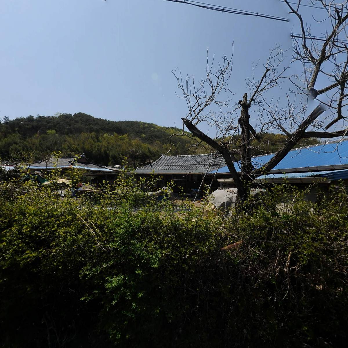 임근엽