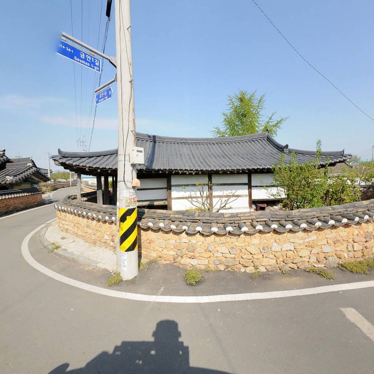오동나무 결혼상담소