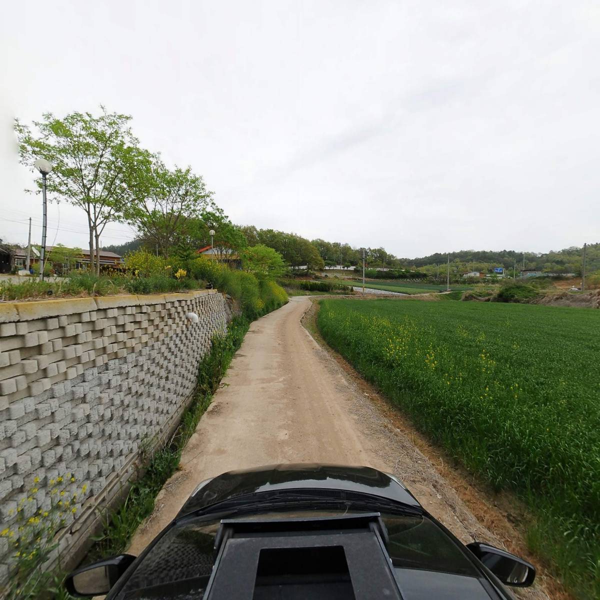 함평 나비골 온열찜질매트_4