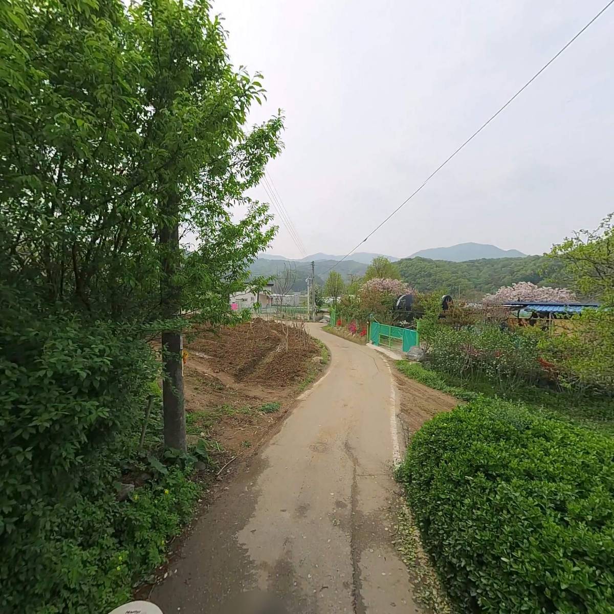 엘리스코코_2
