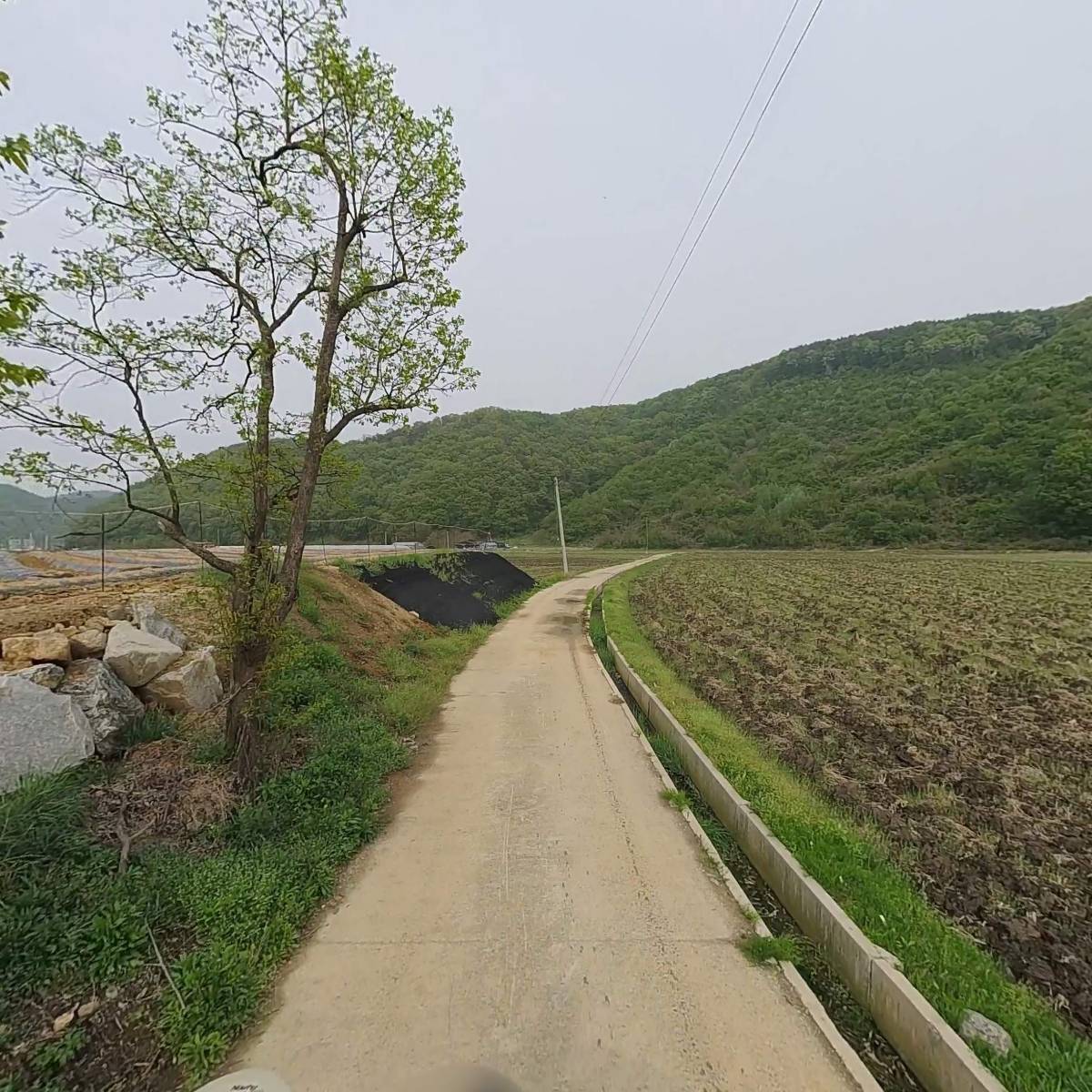 천안호두 유통센터(지점)_2