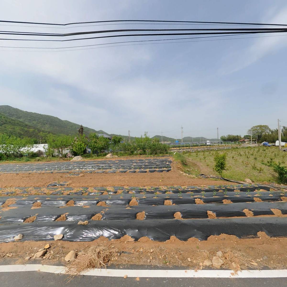 농업회사법인 주식회사 죽향한과