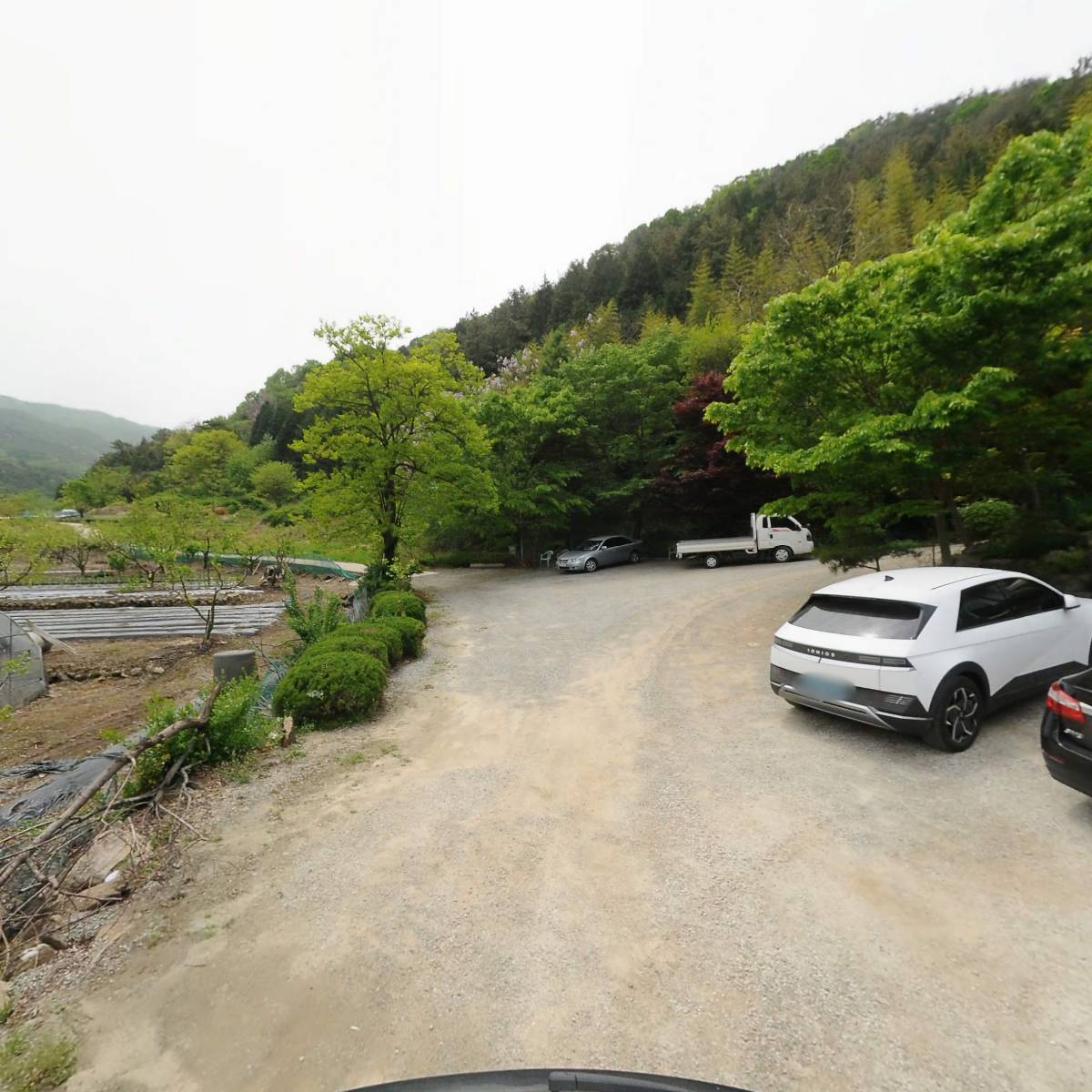 공림_2