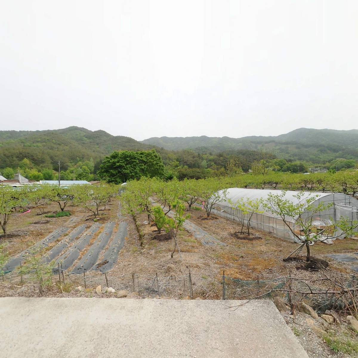 공림