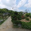 경주김씨상촌공파종중