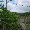 경주김씨상촌공파종중_3