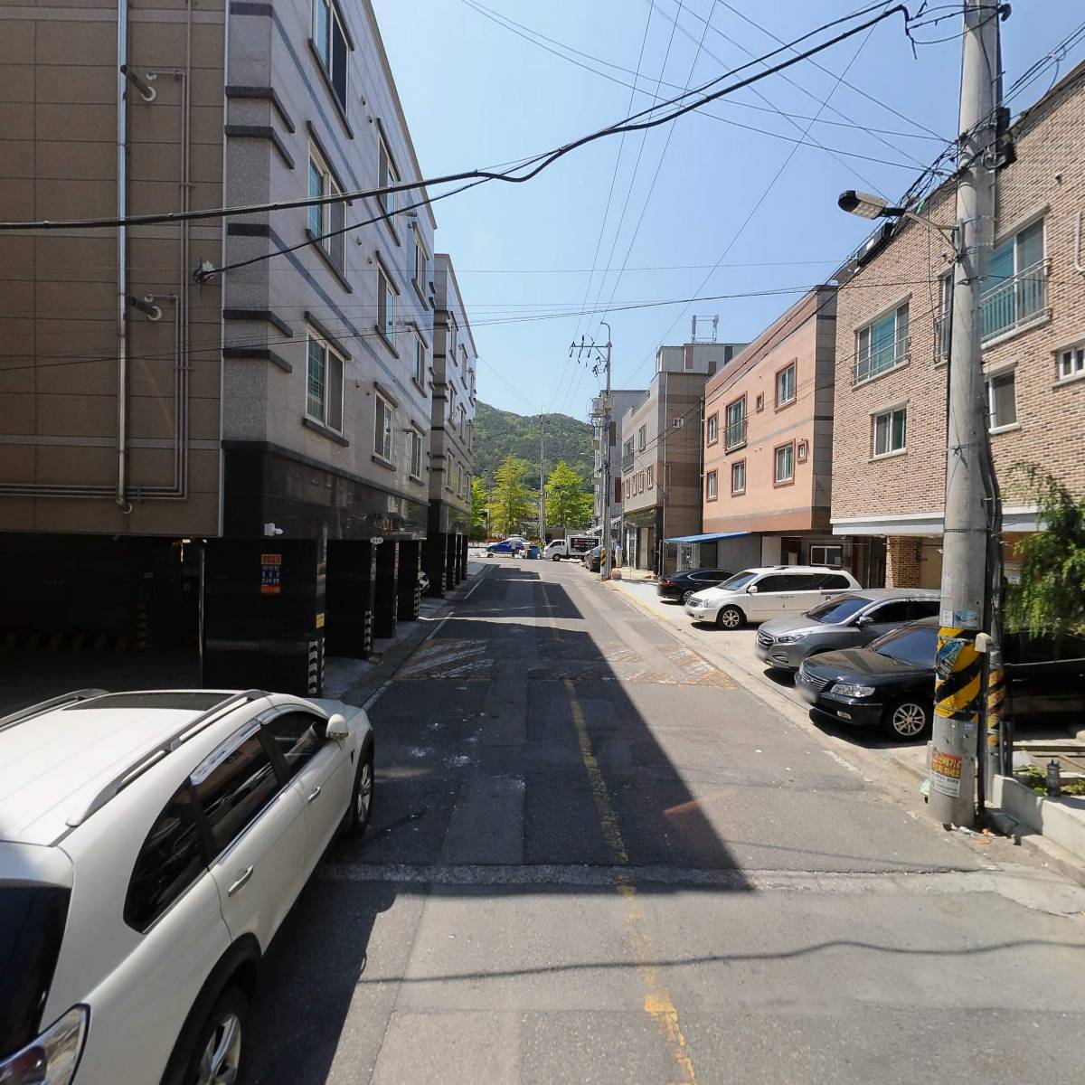 식감_2