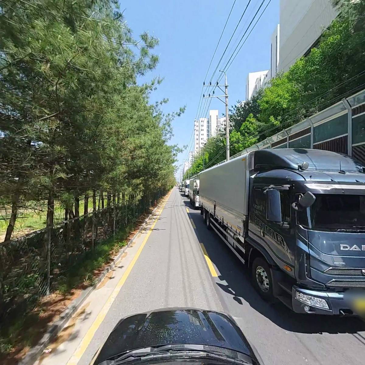 아놀드팜_4