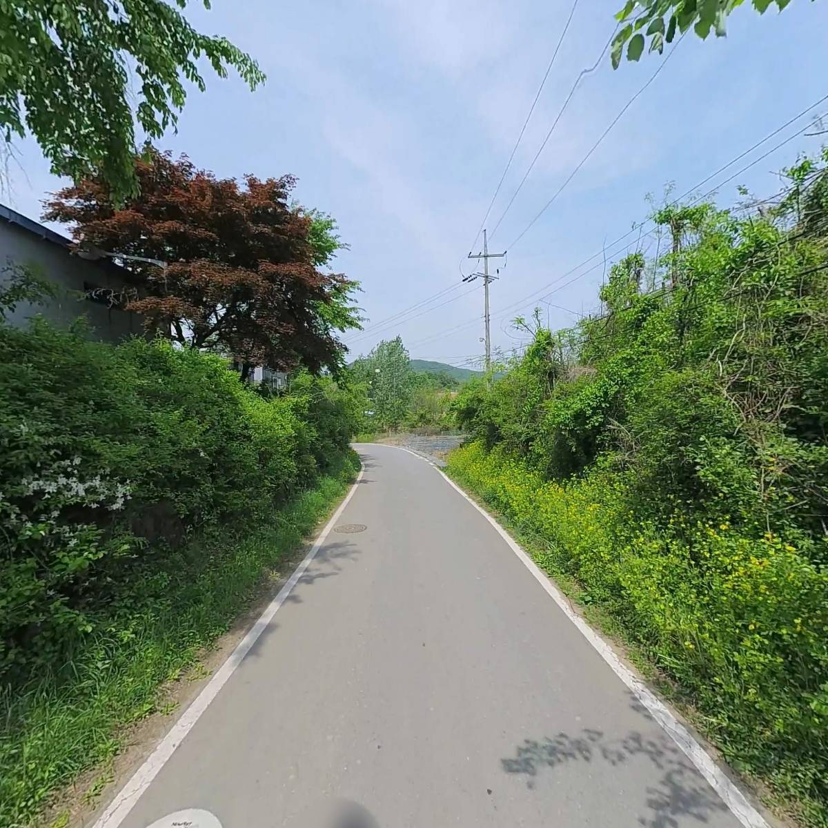 코리아페이퍼패키지_2