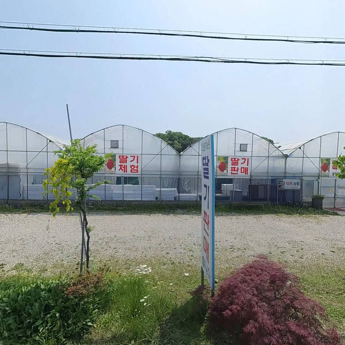 신흥종합가스