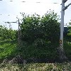 보성이앤씨(주)