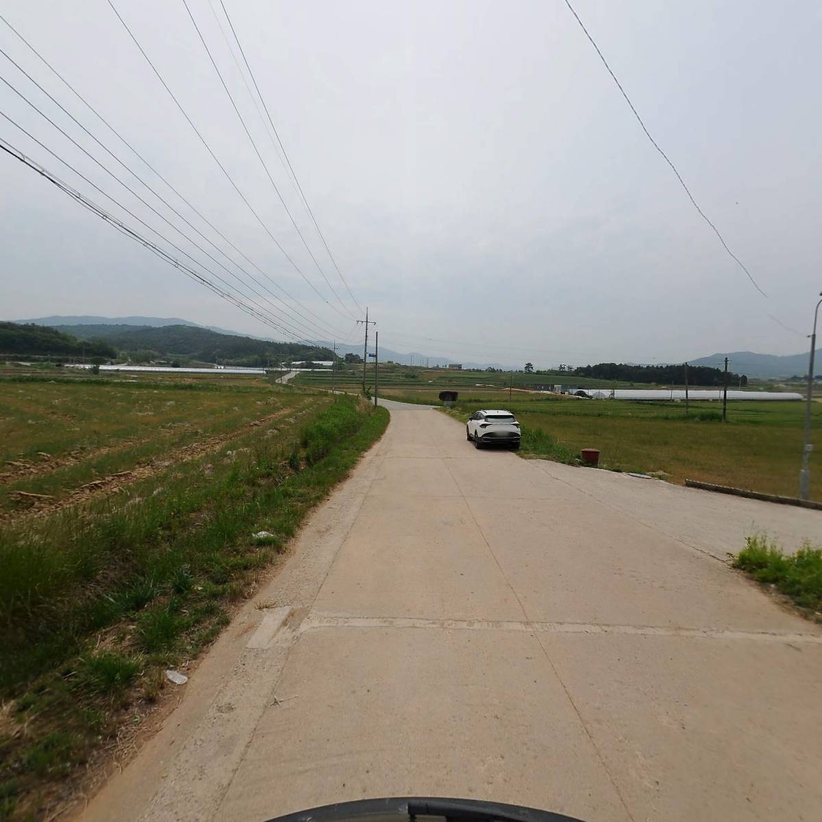 시냇가에심은나무_2