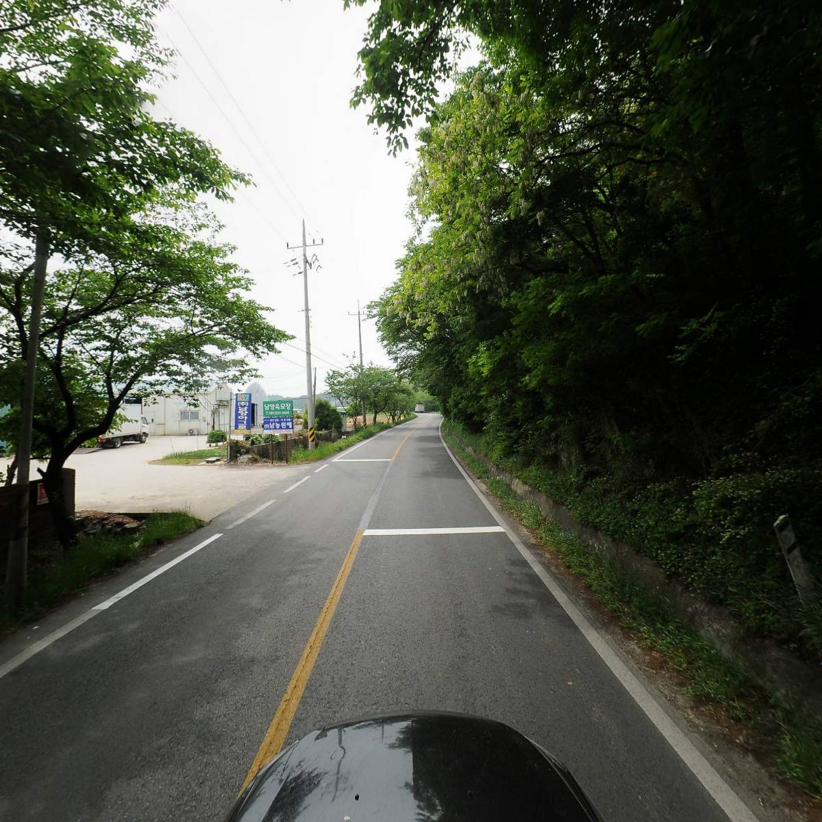 남양육묘장_4