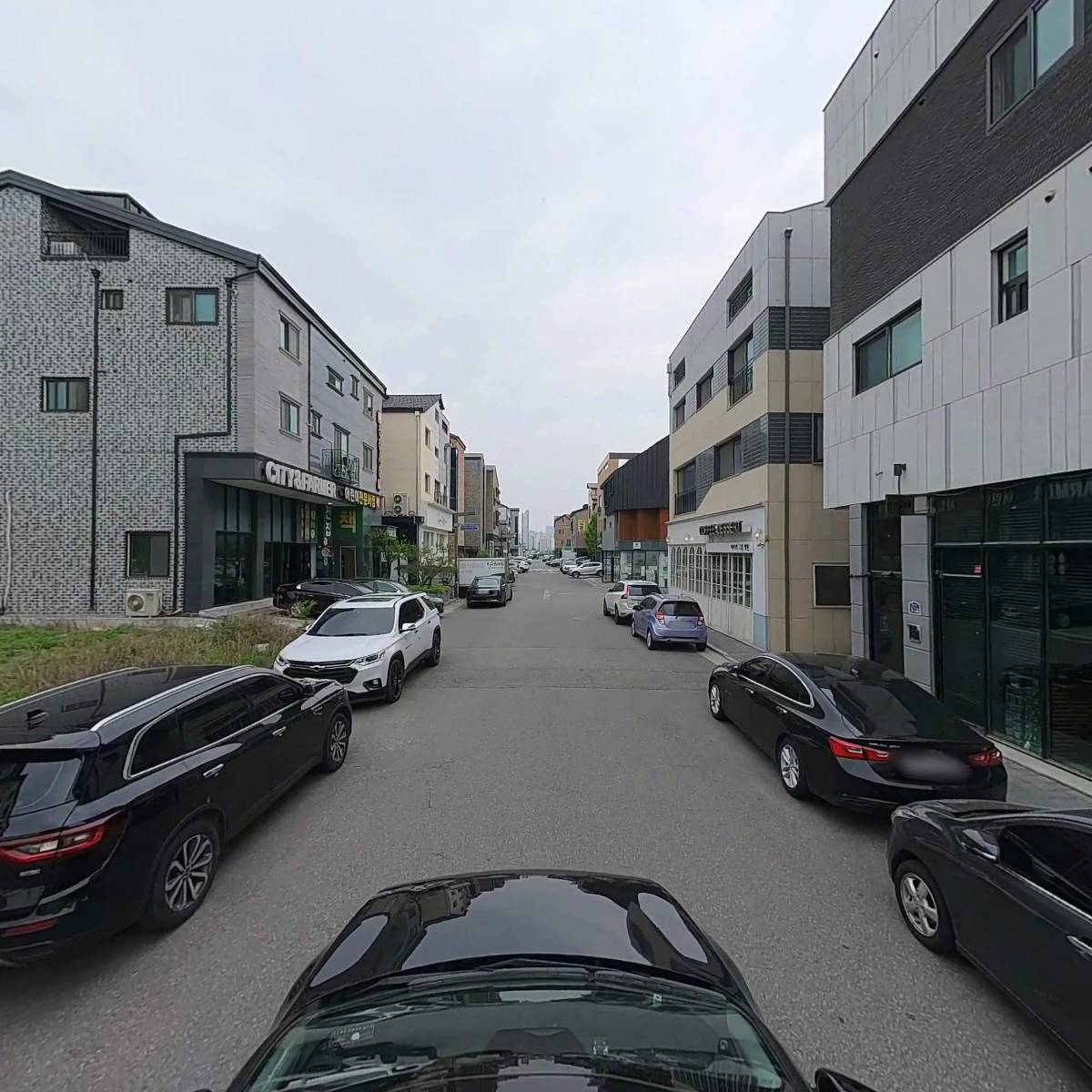 쥬만지 동물의료센터_4