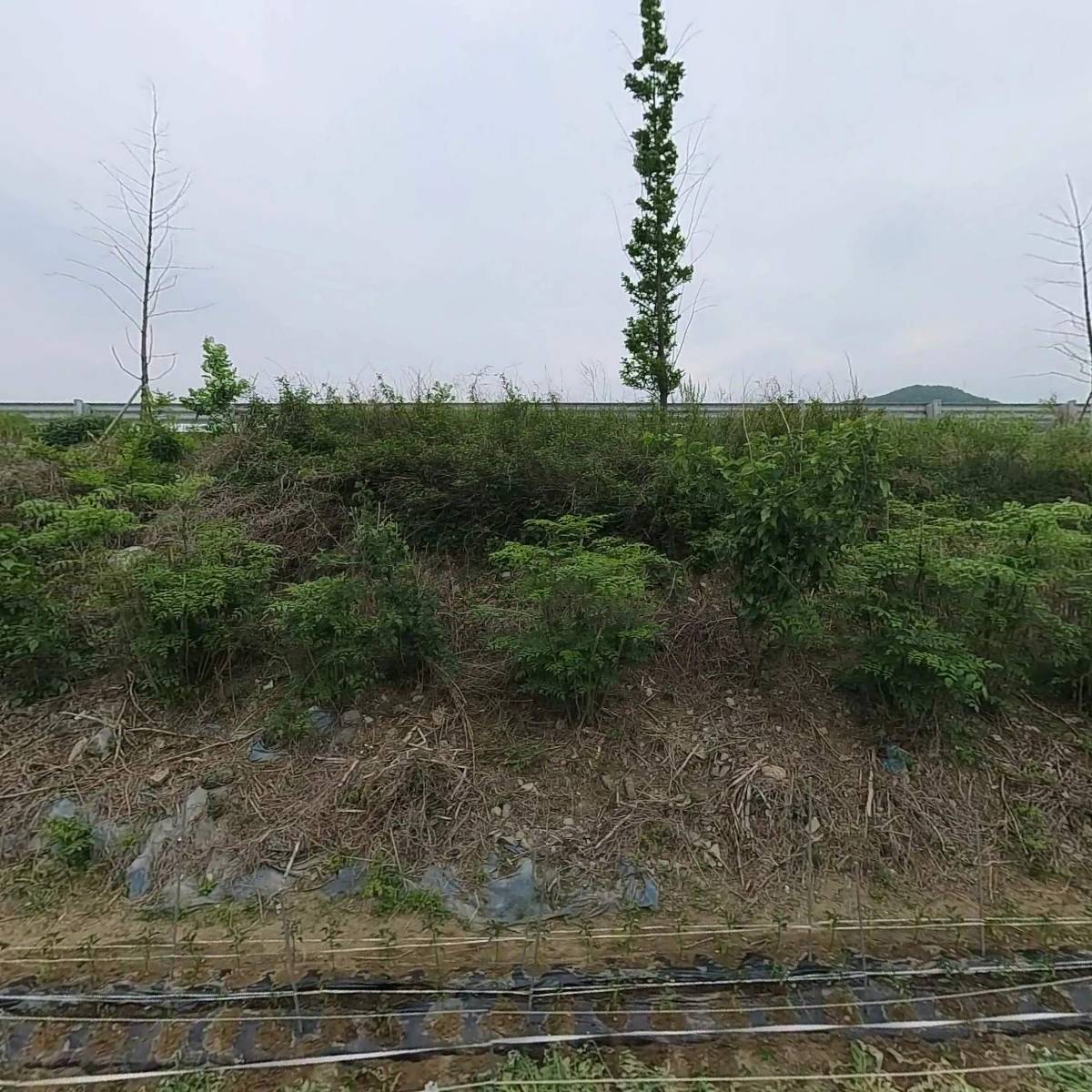 주식회사 다원산업