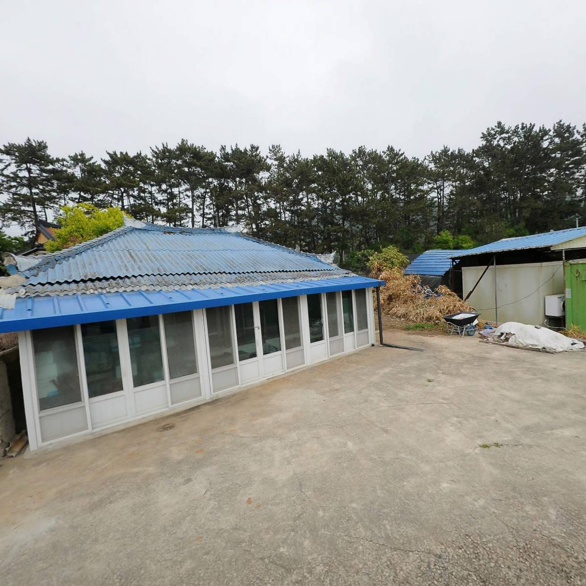 심원대리운전