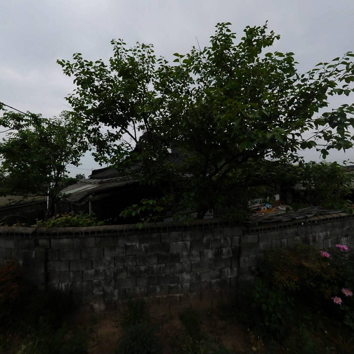 대경축산