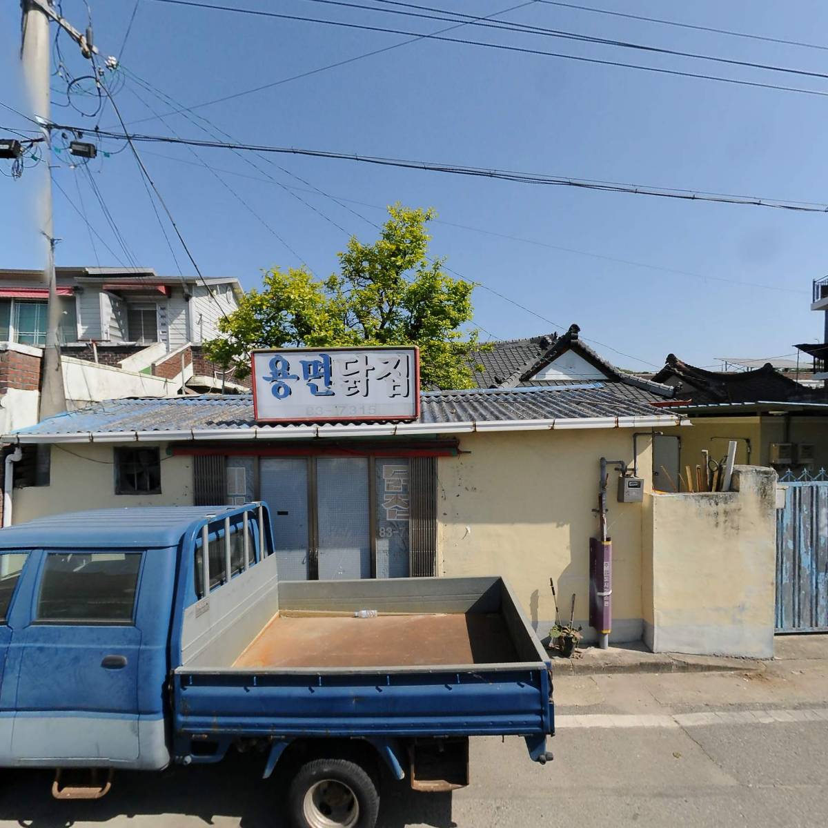 청죽골대나무
