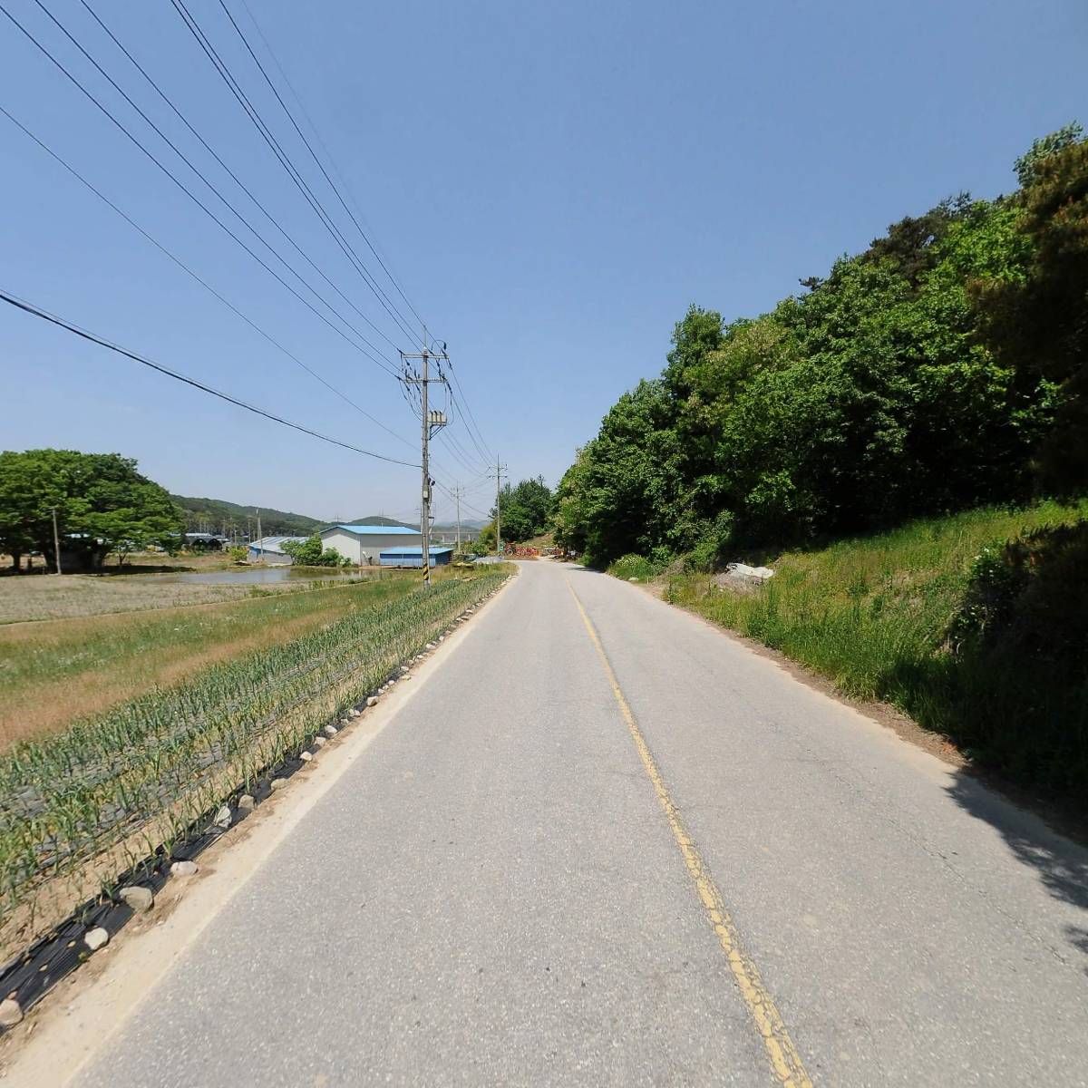 농업회사법인 유한회사 담빛마루_2