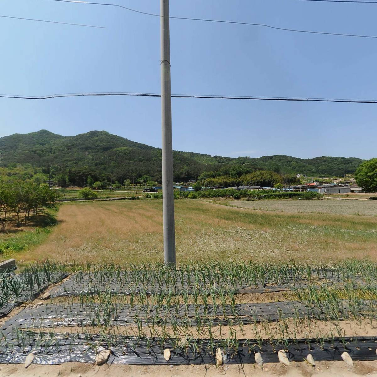 농업회사법인 유한회사 담빛마루