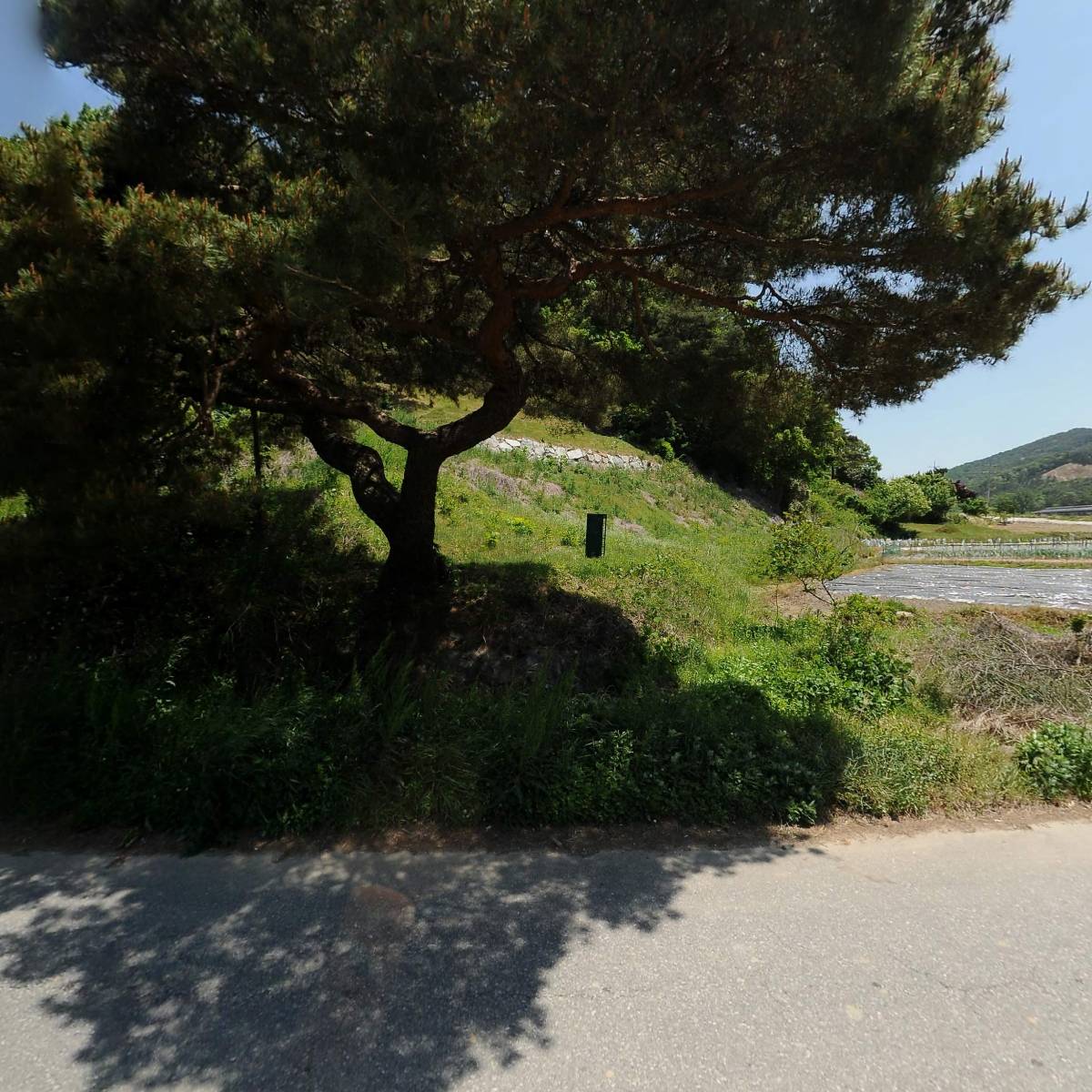 농업회사법인 유한회사 담빛마루_3