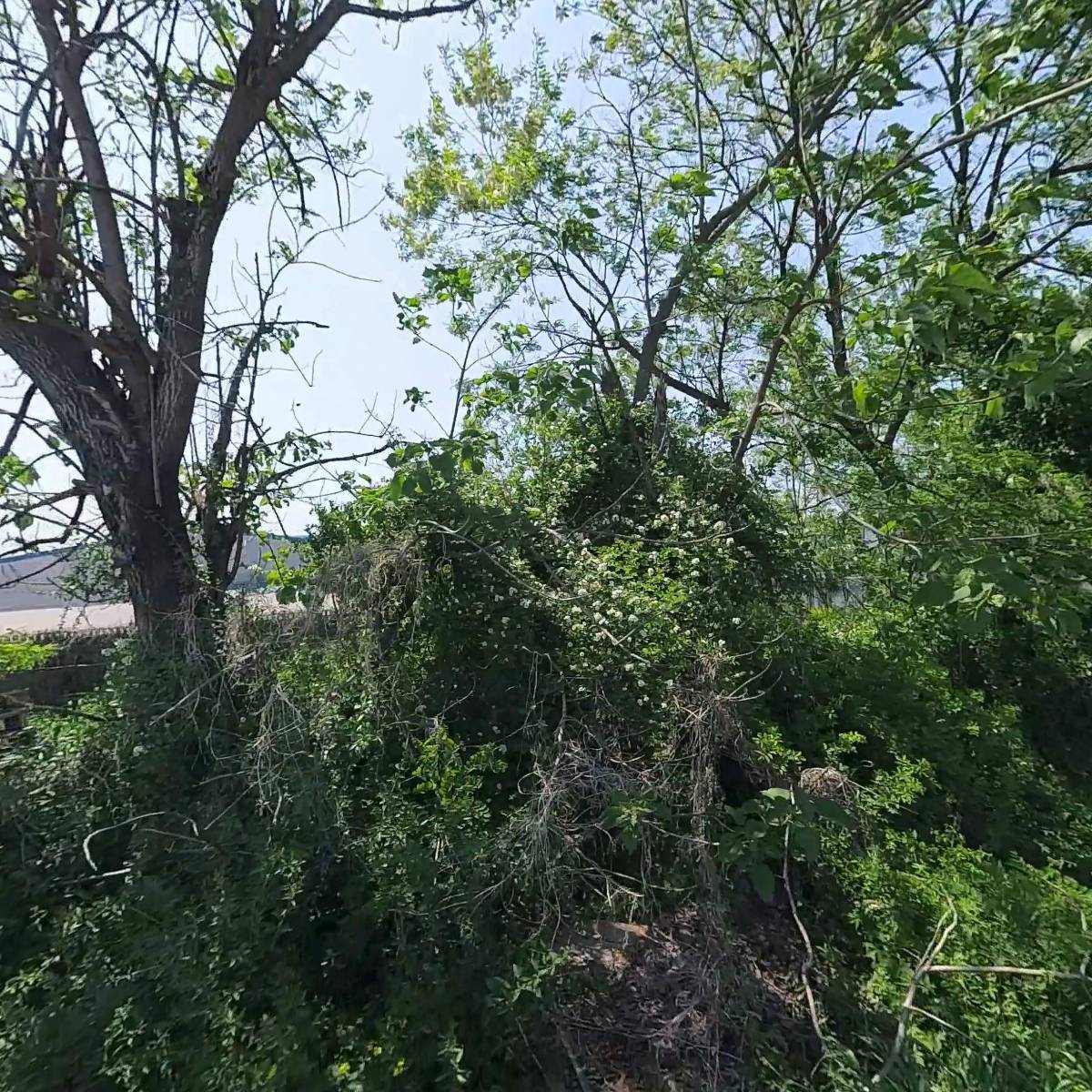 세한피엔씨(주)