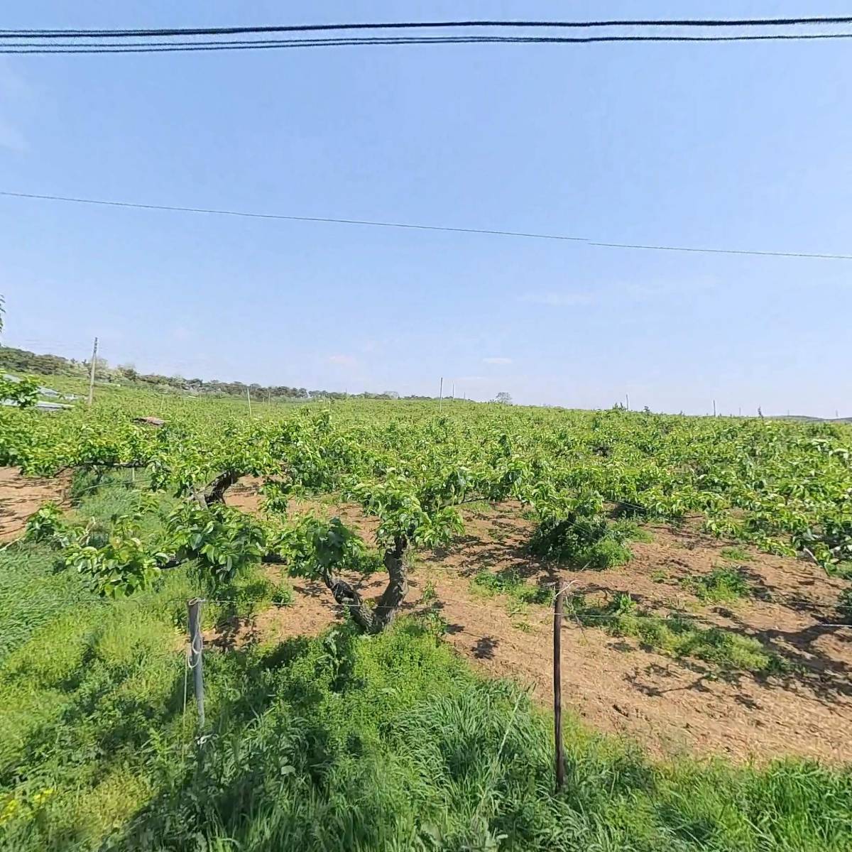 세한피엔씨(주)_3