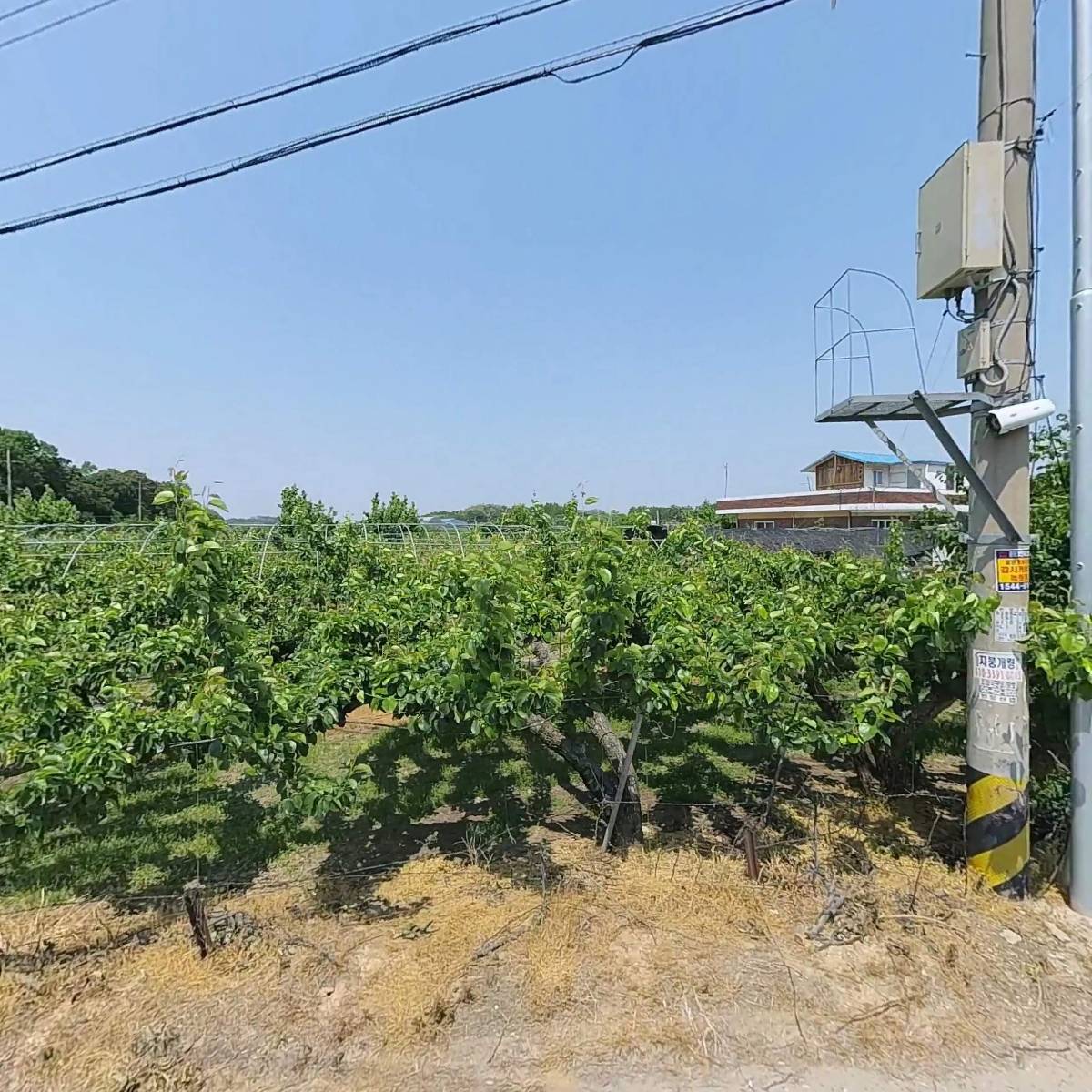 쌍룡초등학교