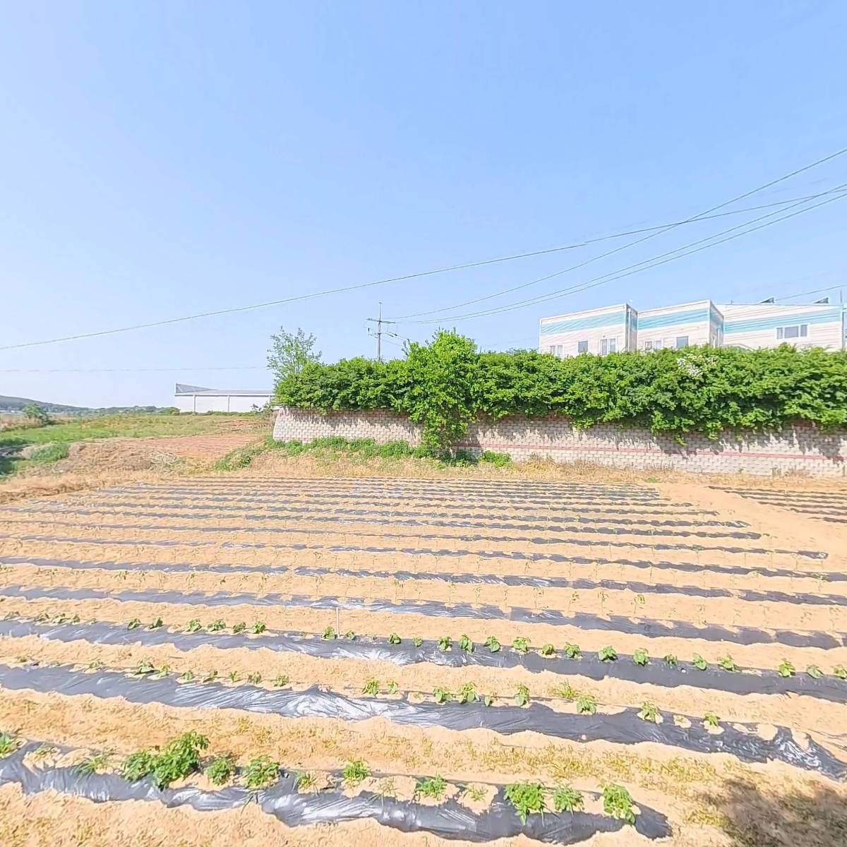수현농장