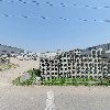 엔탑스_3