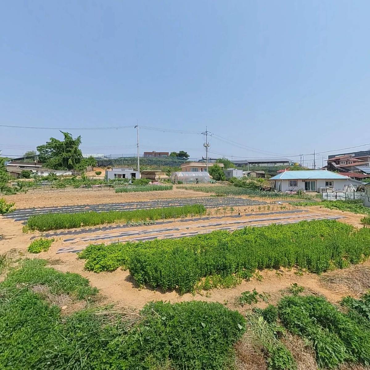주식회사 아톰