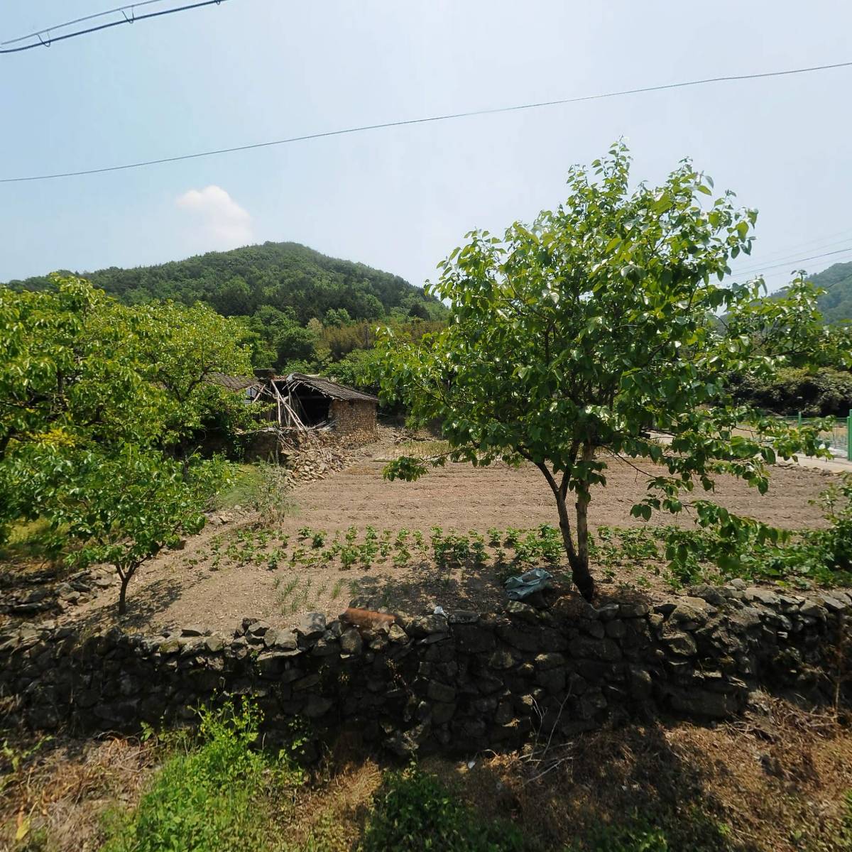 대노 함평군지회 나산면분회 마산경로당_3
